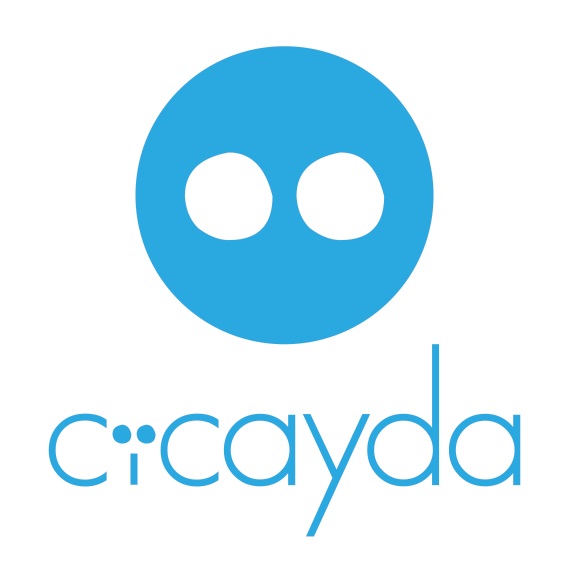 CEO: Cicayda LLC extends Series B for growth, receives suitors